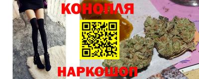 стаф Бузулук