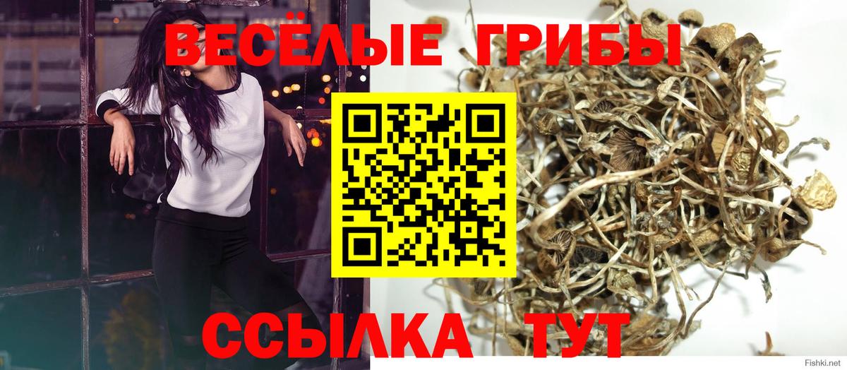 Галлюциногенные грибы мицелий Владивосток